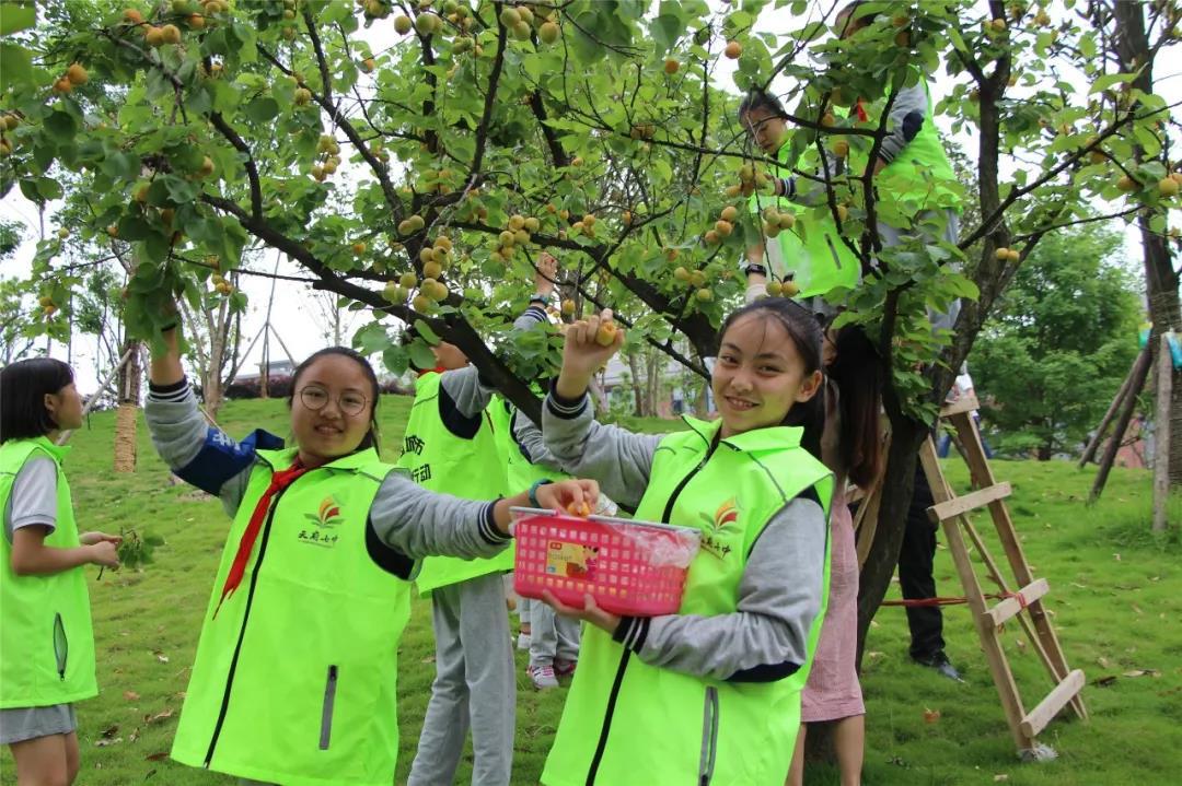 天府七中巅峰时期,为何选择天府七中