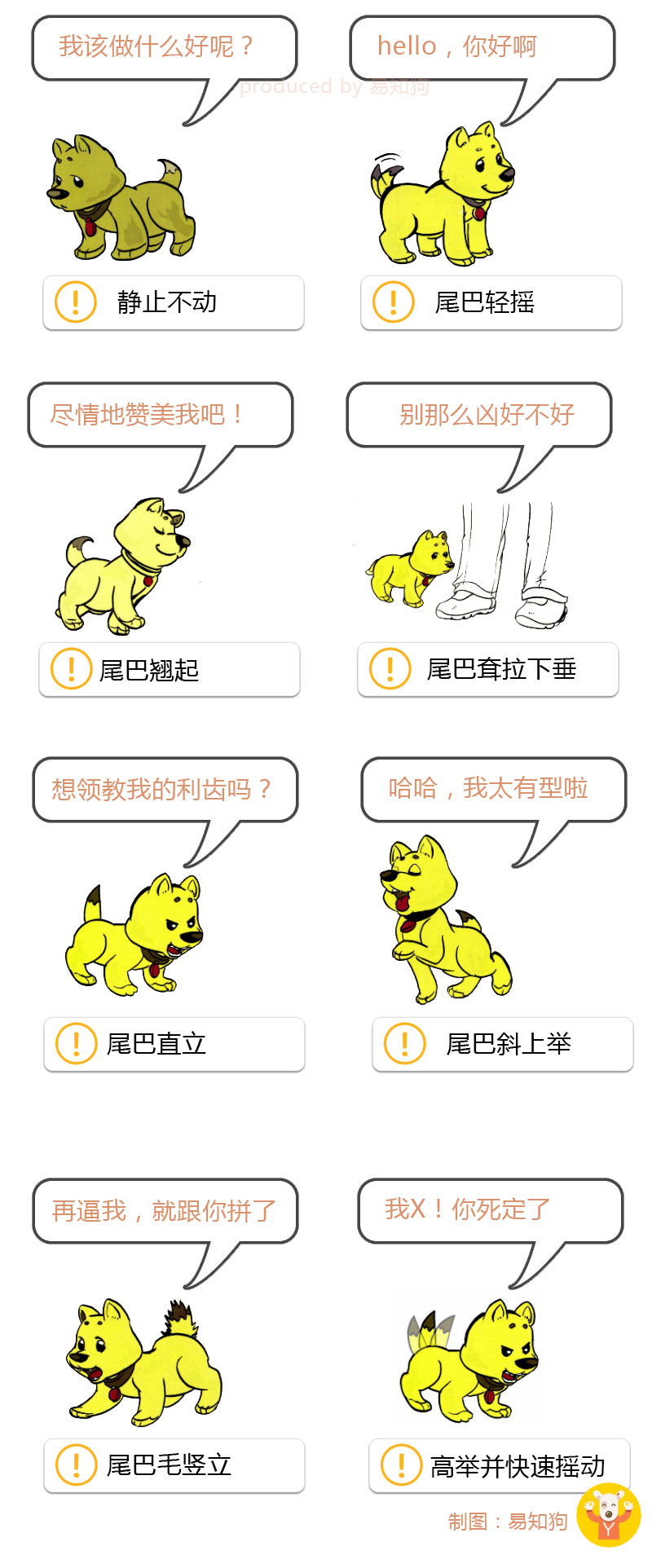 狗狗尾巴动作代表的含义,狗狗的尾巴动作代表的含义