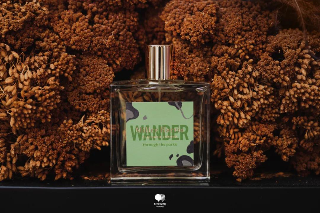 新天地空降一座“隐形”的气味花园，解锁伦敦气味密码