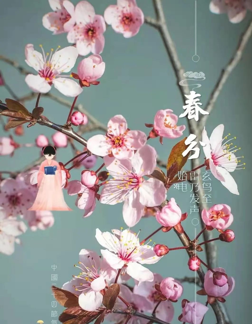 春分从穴位上如何养生,二十四节气养生之春分养生