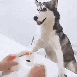 派位学校不满意是否可以调整,对学区派位不满意怎么办