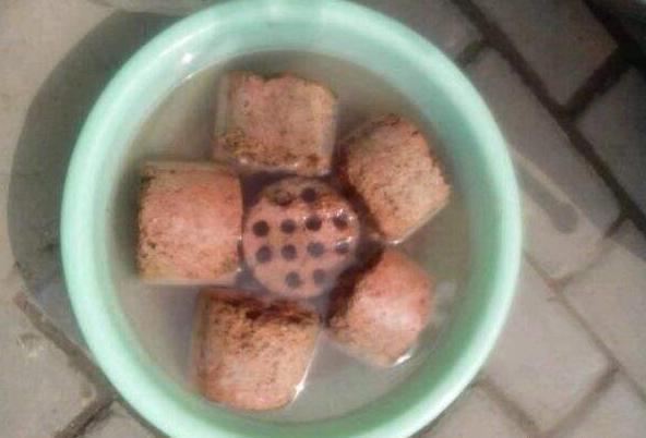 养花不会配土，那就捡点“蜂窝煤”，简单一处理，比买的土还好用