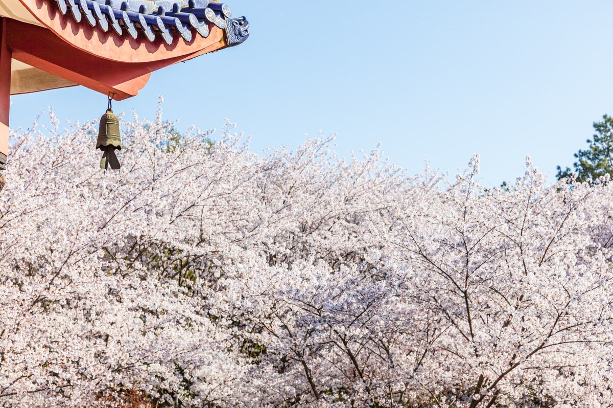 无锡太湖旅游景点攻略,无锡旅游攻略必去景点排名