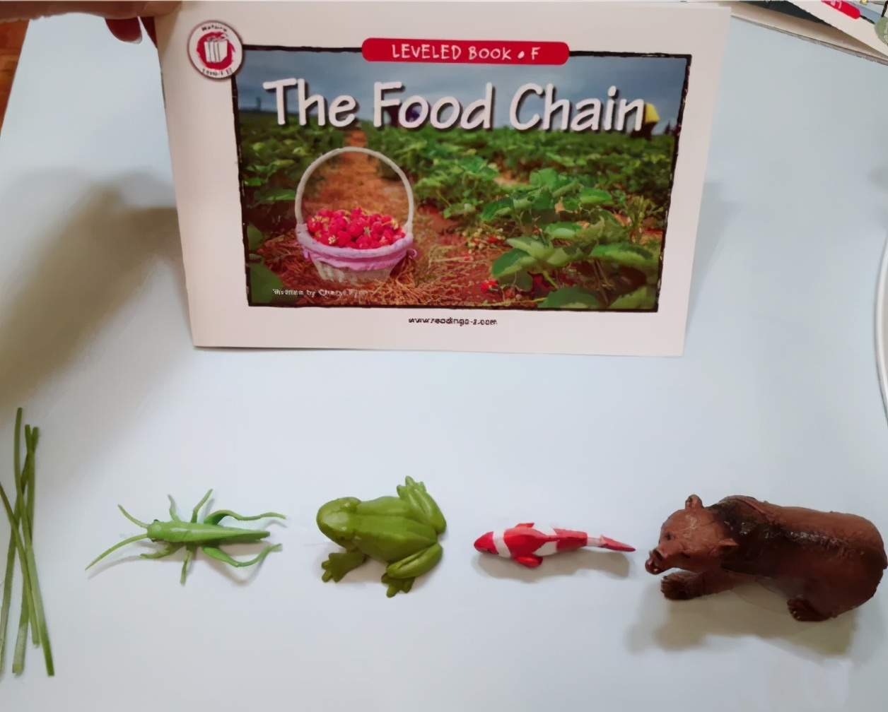 raz启蒙2岁,raz启蒙有用吗