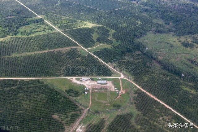 种植10亩地一年赚50万,老板投资了100多万搞养殖