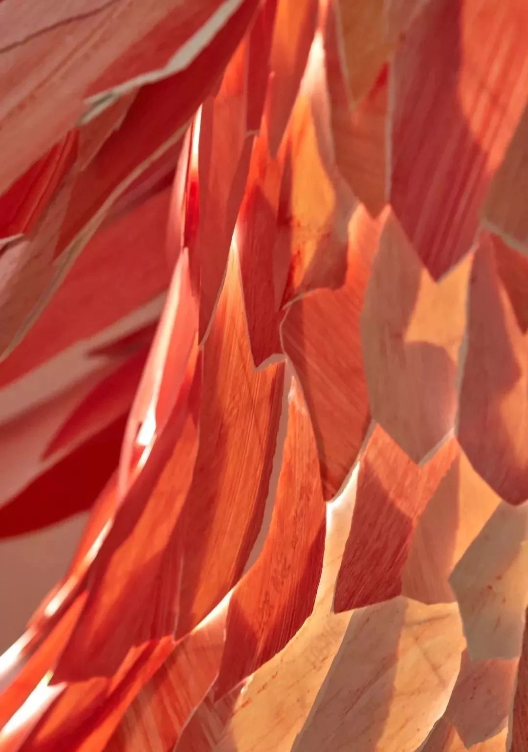 可以看到紫禁城日升月落的酒店，你来不来？