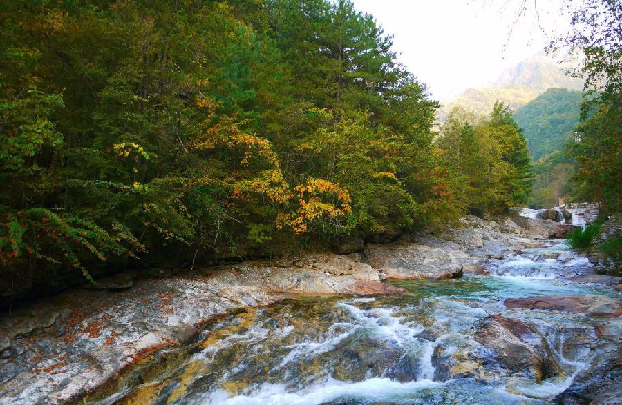 陕西未来5年搬迁村名单,陕西最新农村规划名单