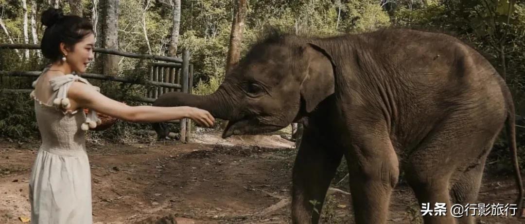 云南西双版纳地方介绍,云南西双版纳旅游简介