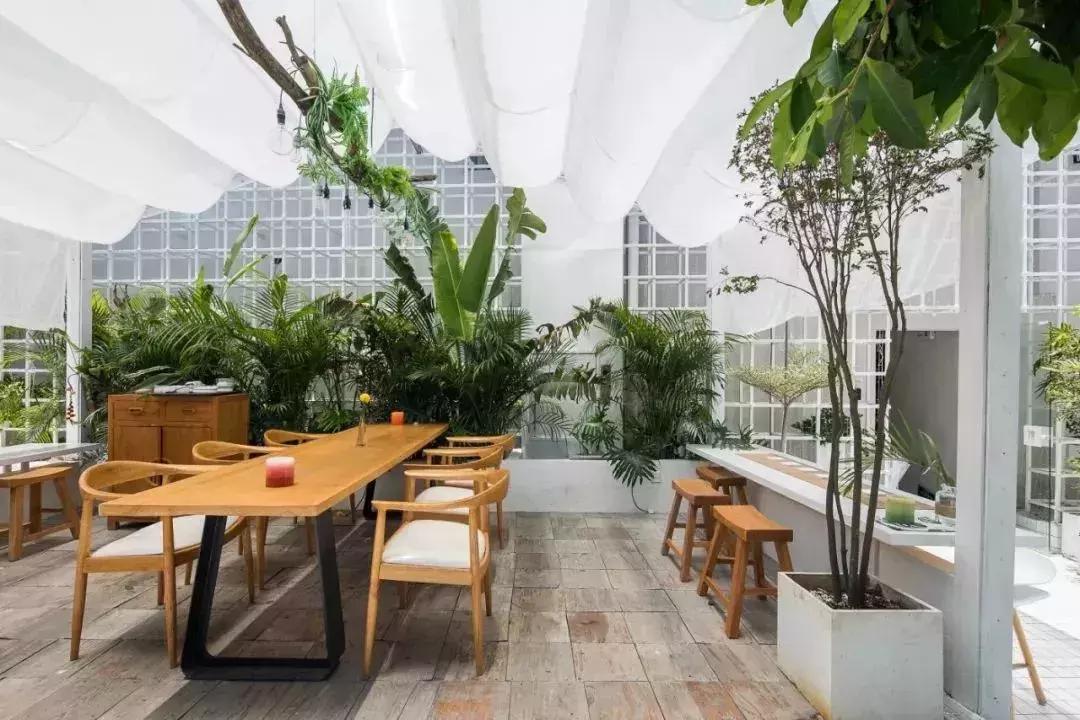 深圳最美海岸线民宿,深圳网红民宿推荐海边