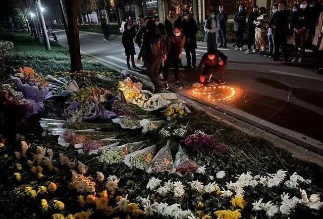 宠物什么时候开始养得最好,为什么现在宠物这么重要