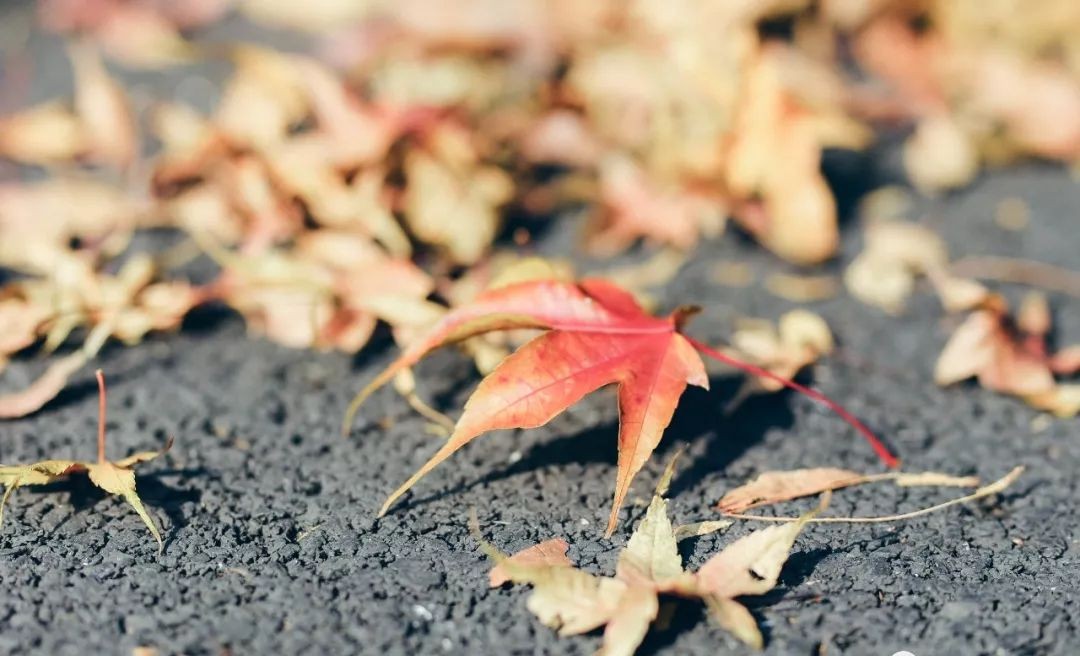 莫干山裸心谷,莫干山裸心谷住宿