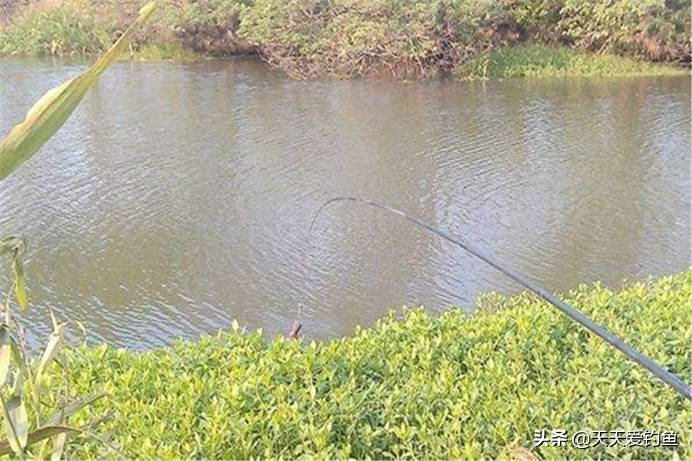 早上野钓如何选钓位,野钓怎么找最佳钓位