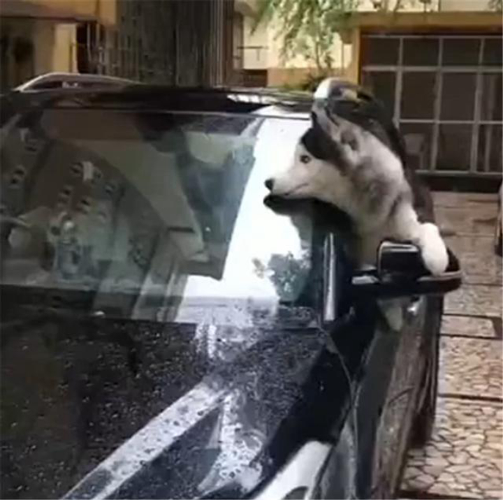为什么出车祸后雨刮都会动,车祸过后雨刮器不停的摆动