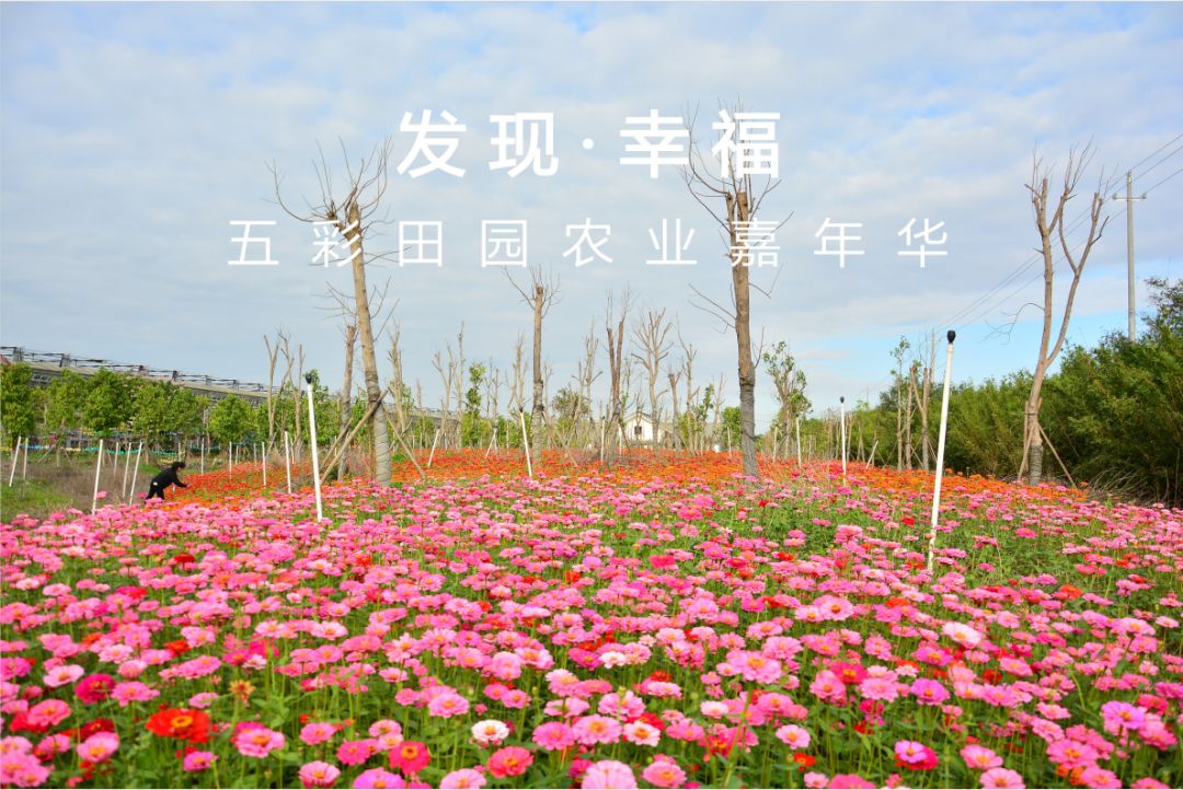 中农富玉大事记,中农富玉未来发展趋势