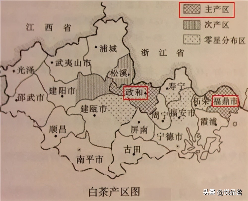 白毫银针哪里的产地最好,银针白茶产地哪里的更好