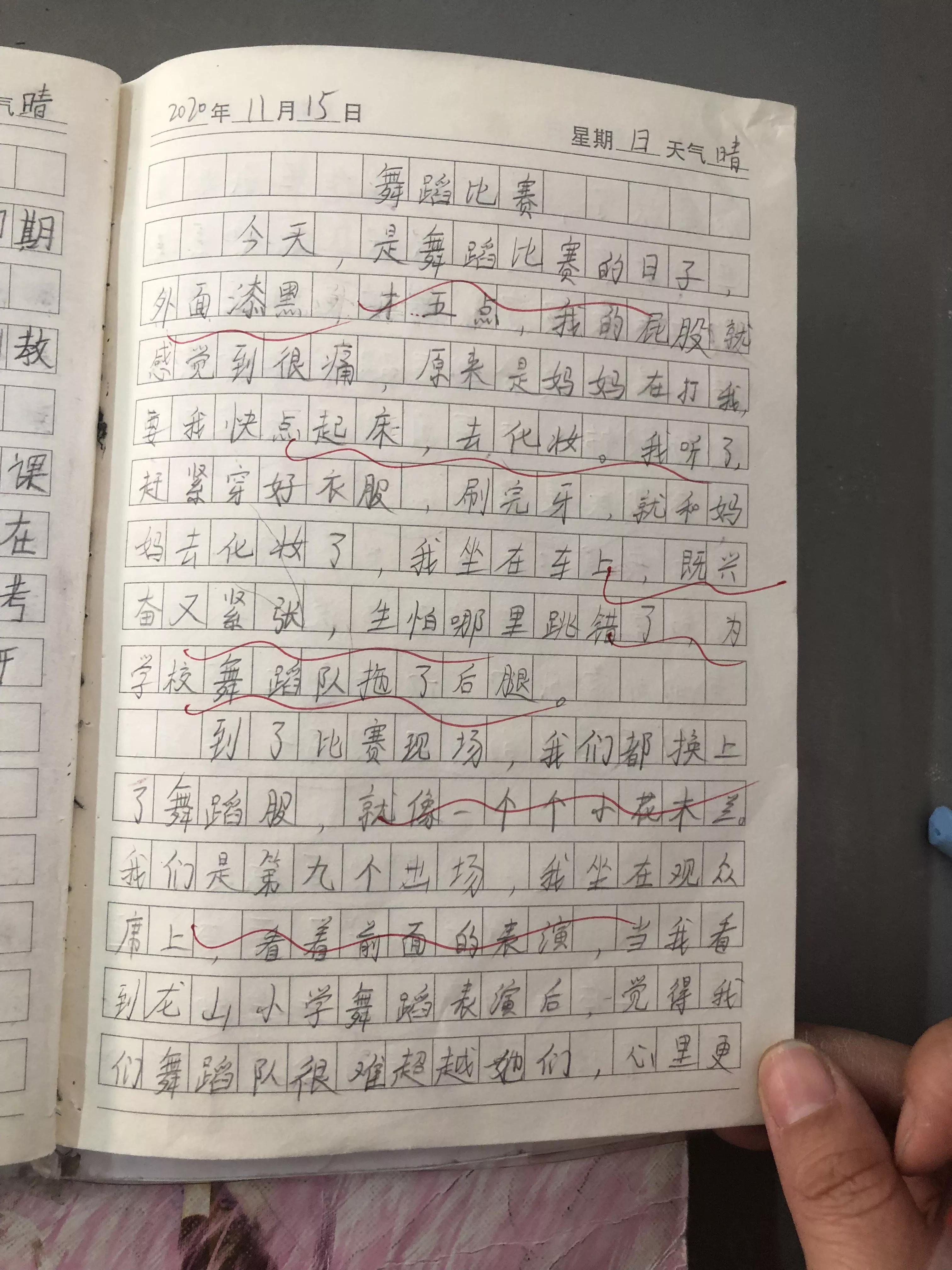 播下一颗种子收获一份快乐,播下一粒成长的种子