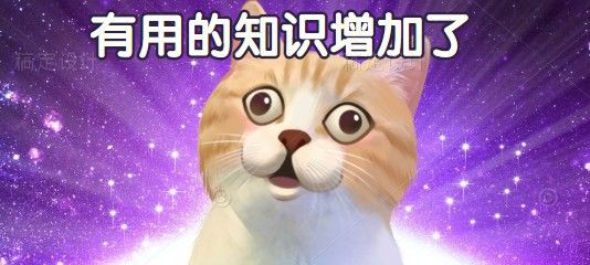 魔咒88完整版,这次牛市会在减半后结束吗