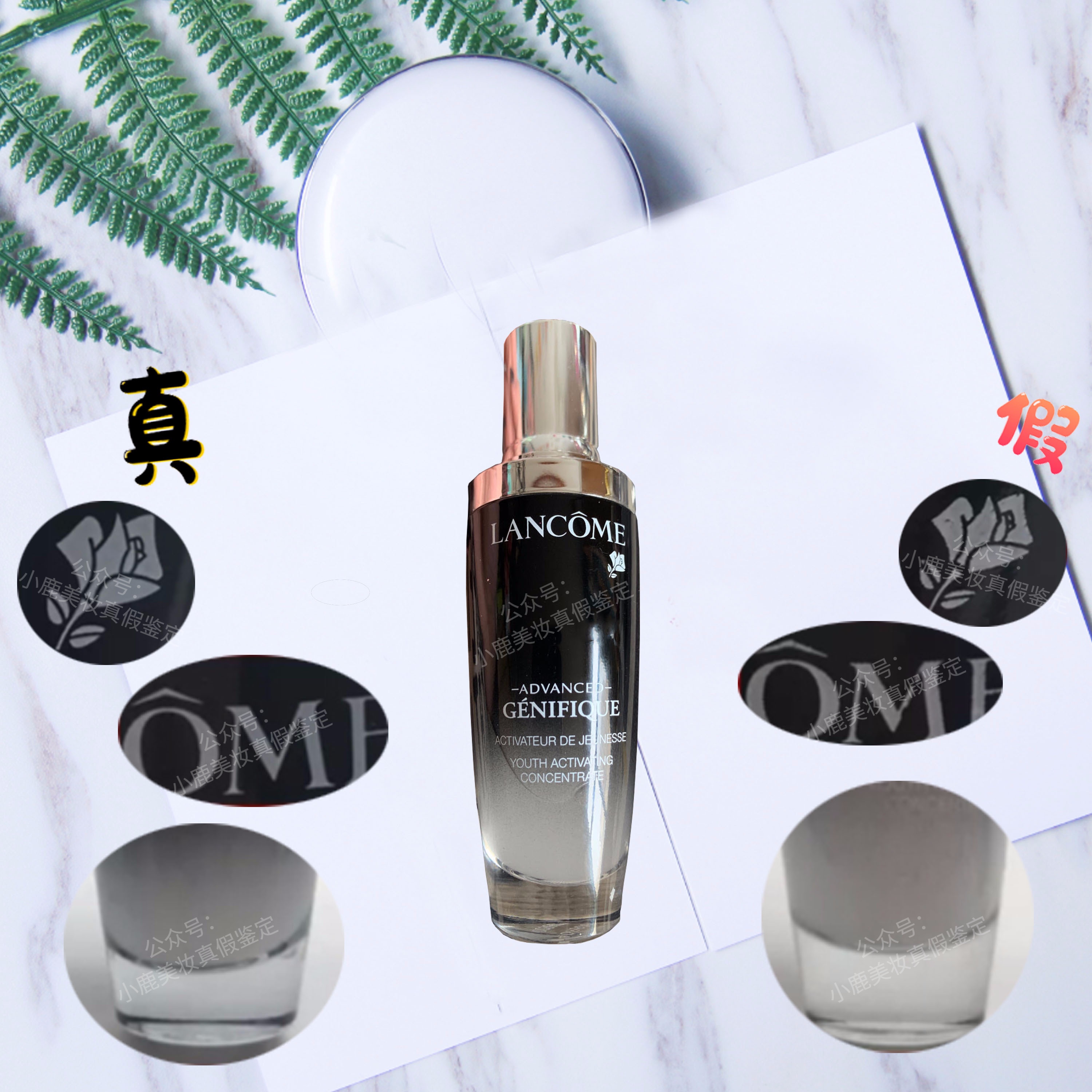 兰蔻小黑瓶在哪里鉴定,兰蔻小黑瓶真假鉴别新款