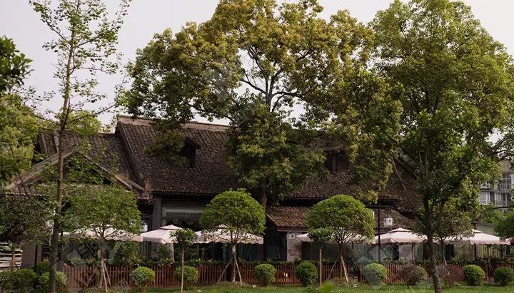 成都冷知识100例,四川成都市冷知识