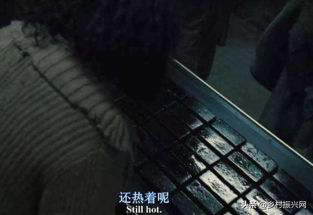 昆虫薯片,昆虫零食香辣