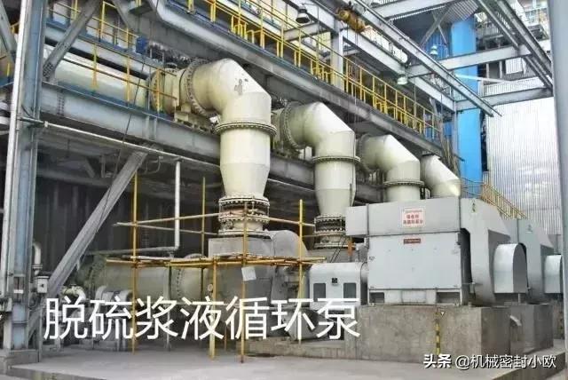 最先进发电厂,国内最大的十大电厂