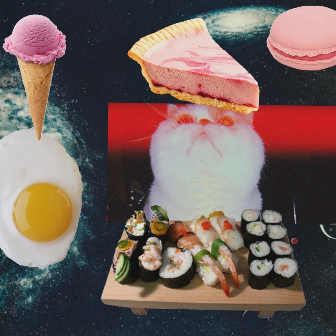 向往的生活锅碗瓢盆分别被谁养,向往的生活锅碗瓢盆4只狗