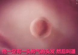 这件“外套”，人人都有过！