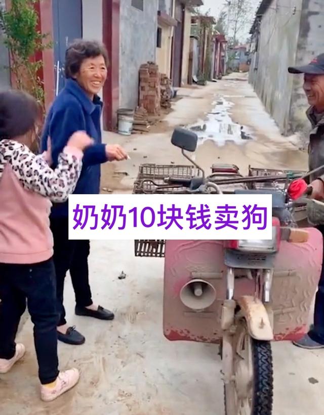 河南奶奶10元卖孙女养2年的狗,河南一奶奶10块卖狗奶奶后续