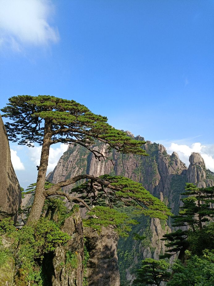 一品黄山天高云淡,天高云淡一品黄山香烟广告原声