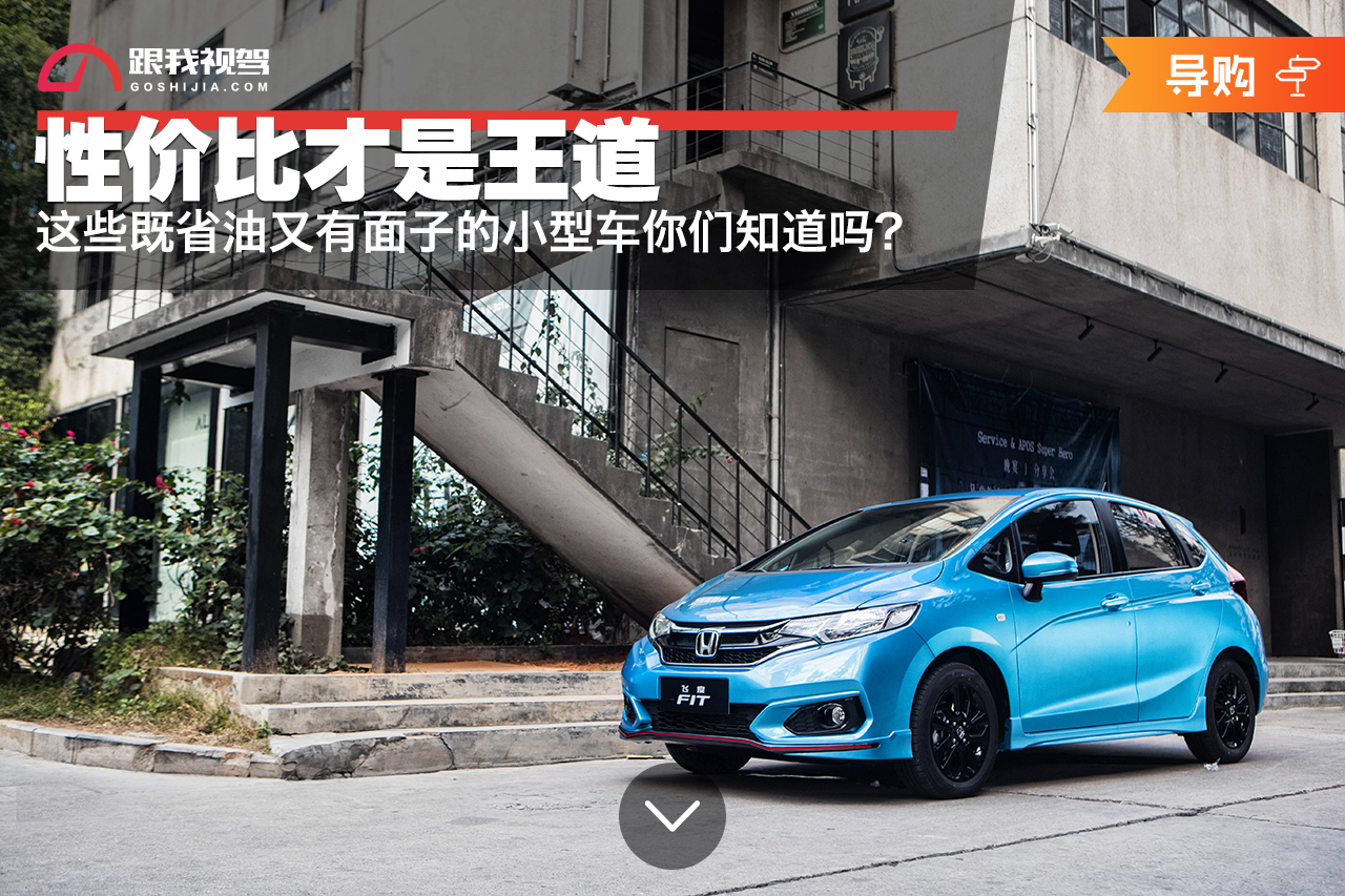 性价比高又实用好看的车型,动力好又省油的小型车推荐