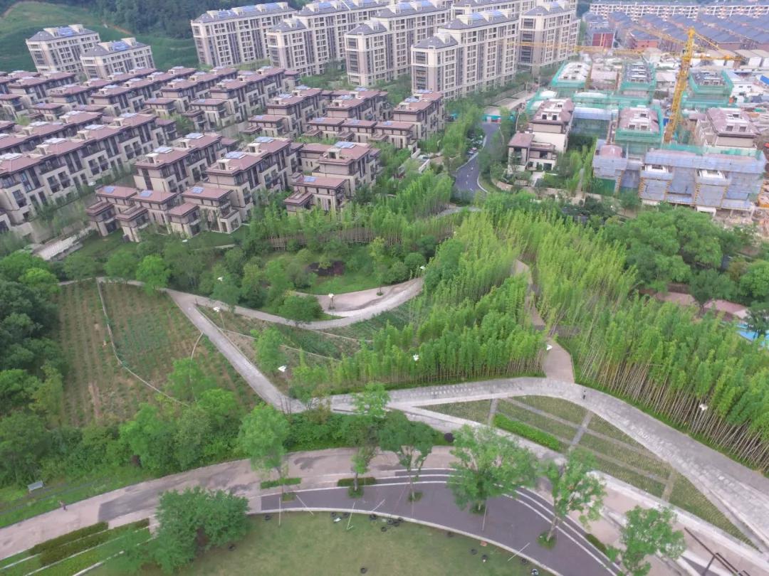 矿坑改造最美公园,矿坑改造湿地公园视频