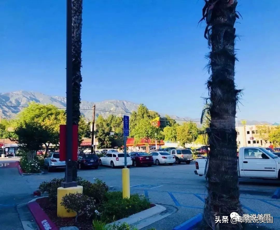 翠霞带你看看美国不同种类的超市