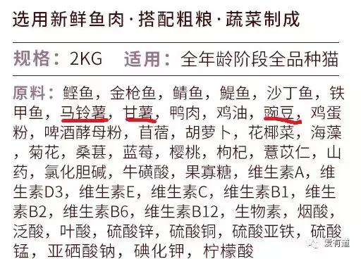 毛孩子偷吃东西被发现,毛孩子吃东西被发现了