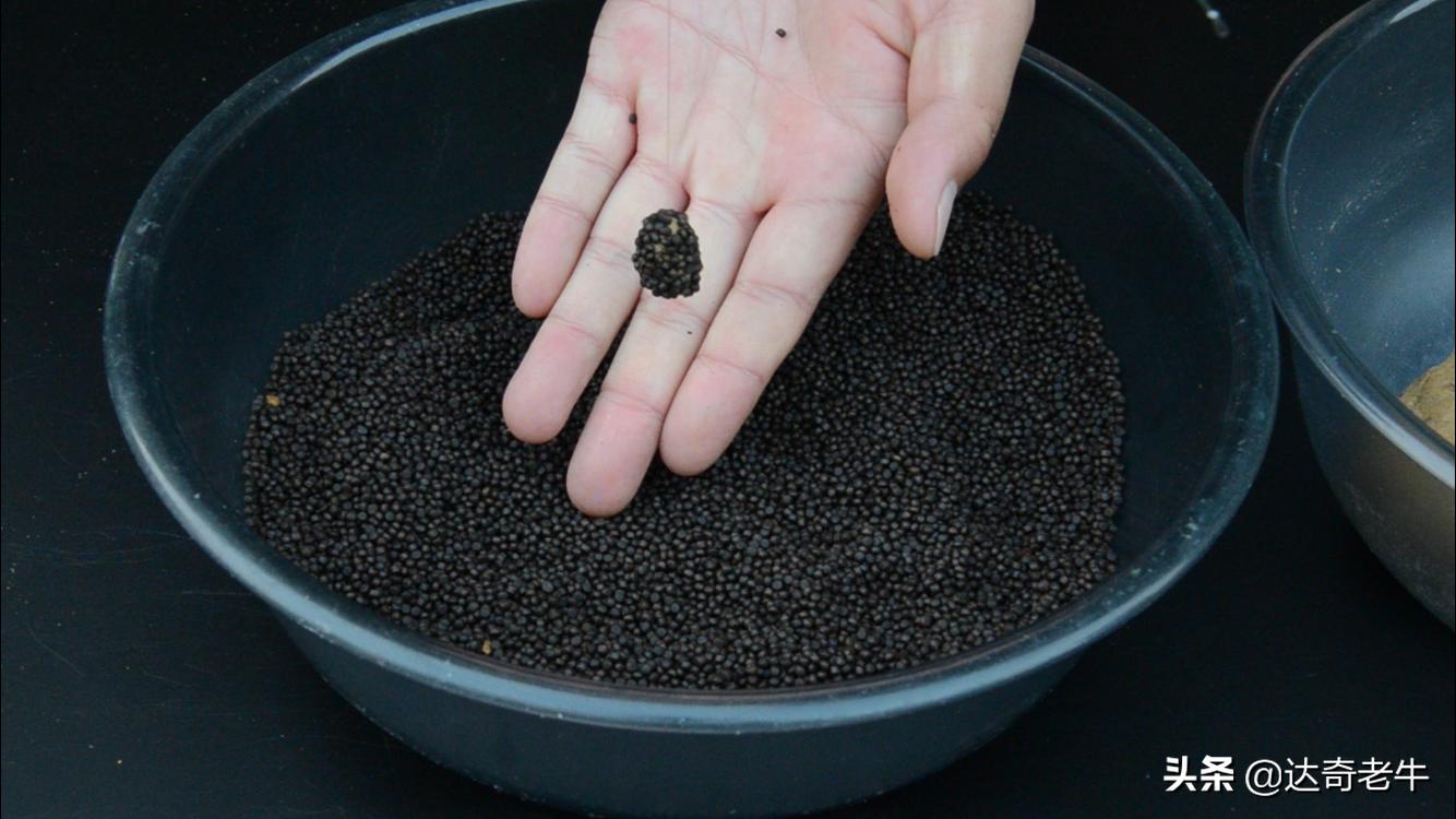 浮水颗粒怎么开成浮钓饵,浮水颗粒钓鱼选多大直径好用