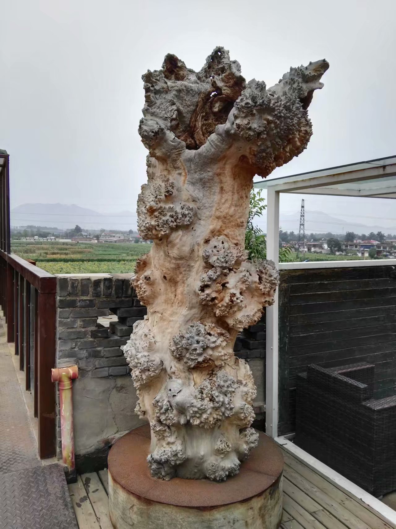 打卡食草堂,打卡素食茶馆餐厅