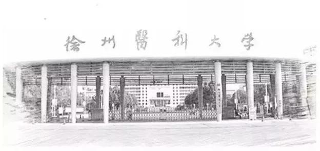 徐州医科大学第一临床医学,徐州医科大学就业率排名