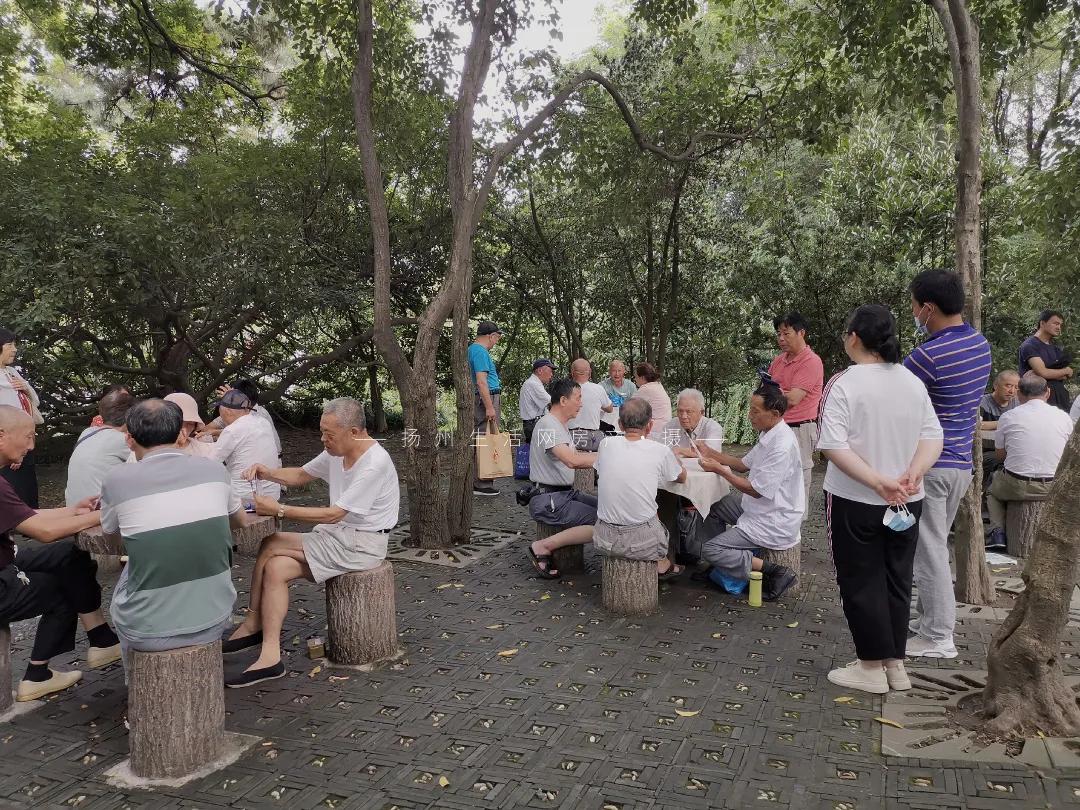 扬州的老城区有什么好玩的,老城区新增商业