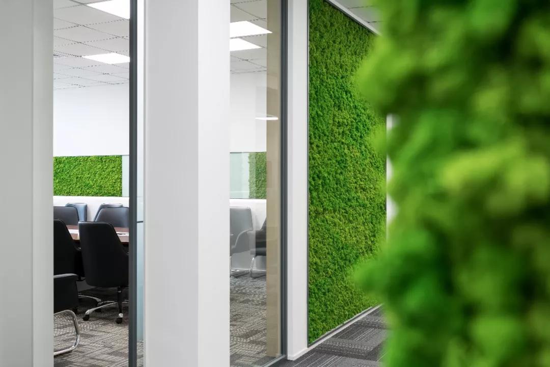 20个项目案例综合展示,最受欢迎的10个项目