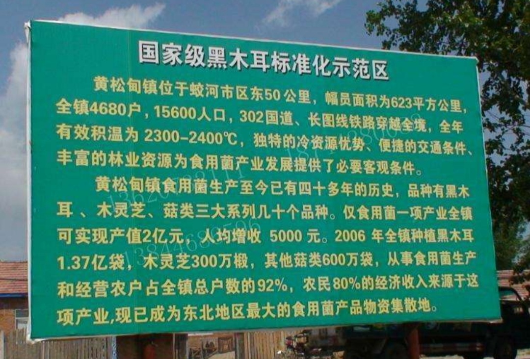 中国打造木耳之乡,中国木耳产地排行榜