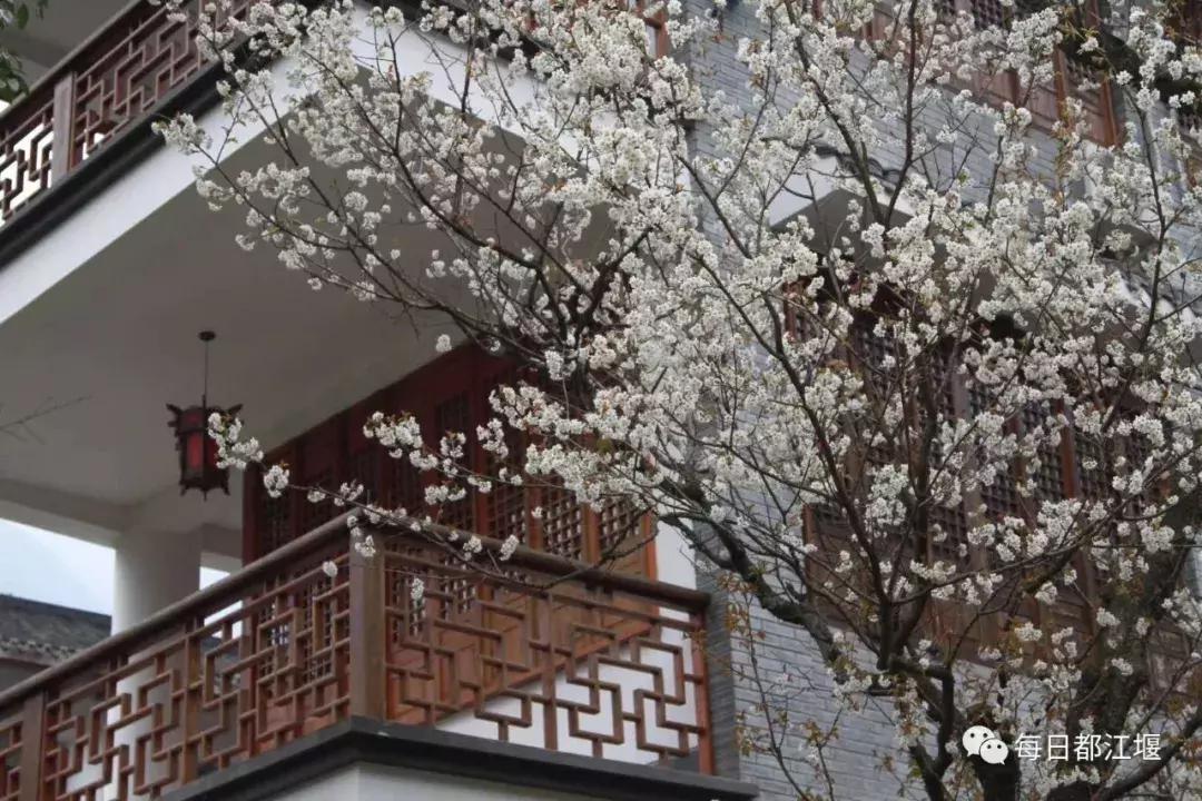 都江堰天府旅游名县,成都都江堰100元左右的民宿