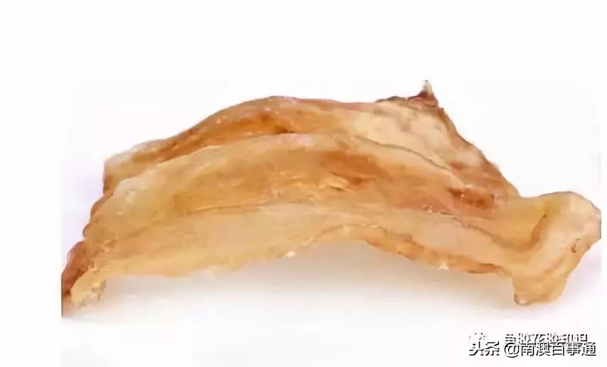 涨知识!鱼胶种类大全,不看亏大了!