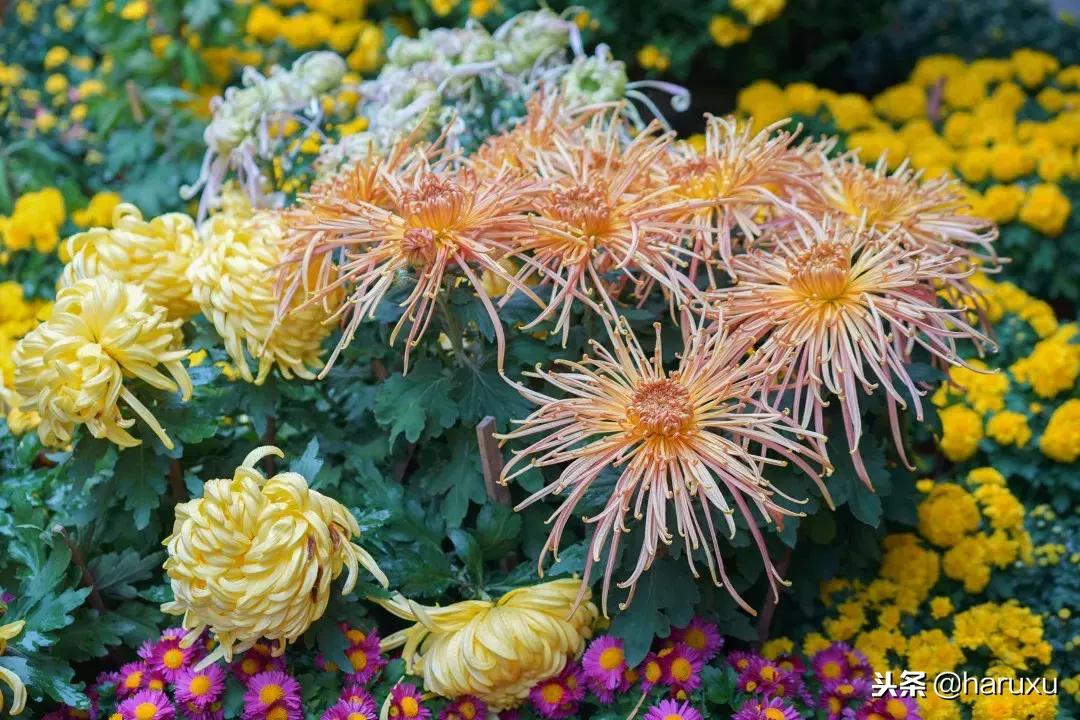 亲子游推荐无锡,无锡亲子游攻略三天两夜