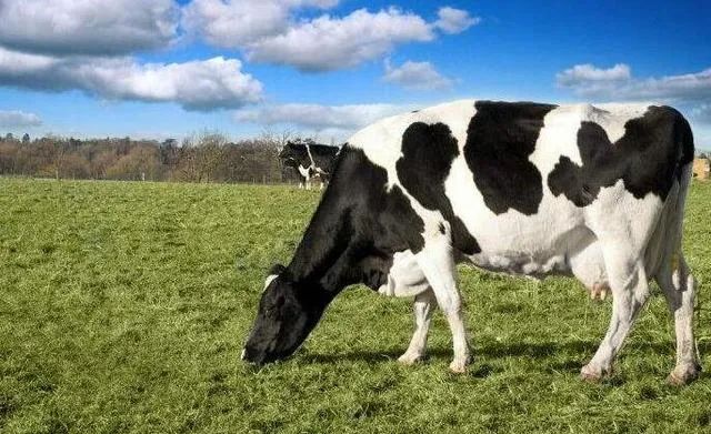 一百和四五百奶粉,200元的奶粉与400元奶粉区别