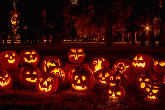 苏州四季悦室内温泉水乐园,万圣“捣蛋水球大战”、精灵汤池…