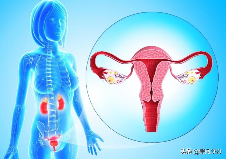 多囊卵巢综合征七大症状快来自测,多囊卵巢综合征的10大症状