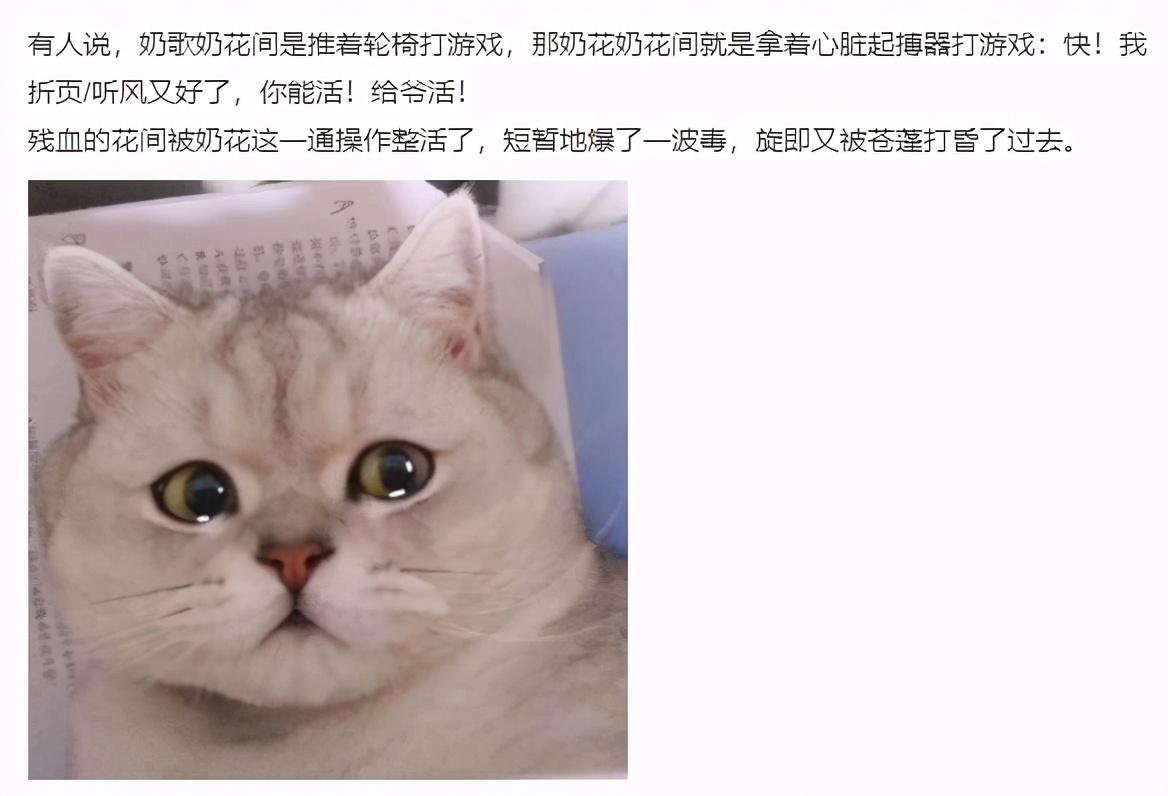 剑网三气纯打得过花间吗,剑网三花间适合打什么