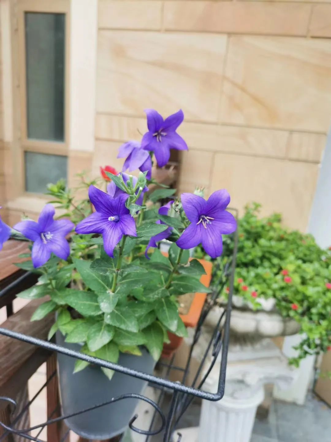 怎样弄掉游戏限制,想玩游戏怎样克服