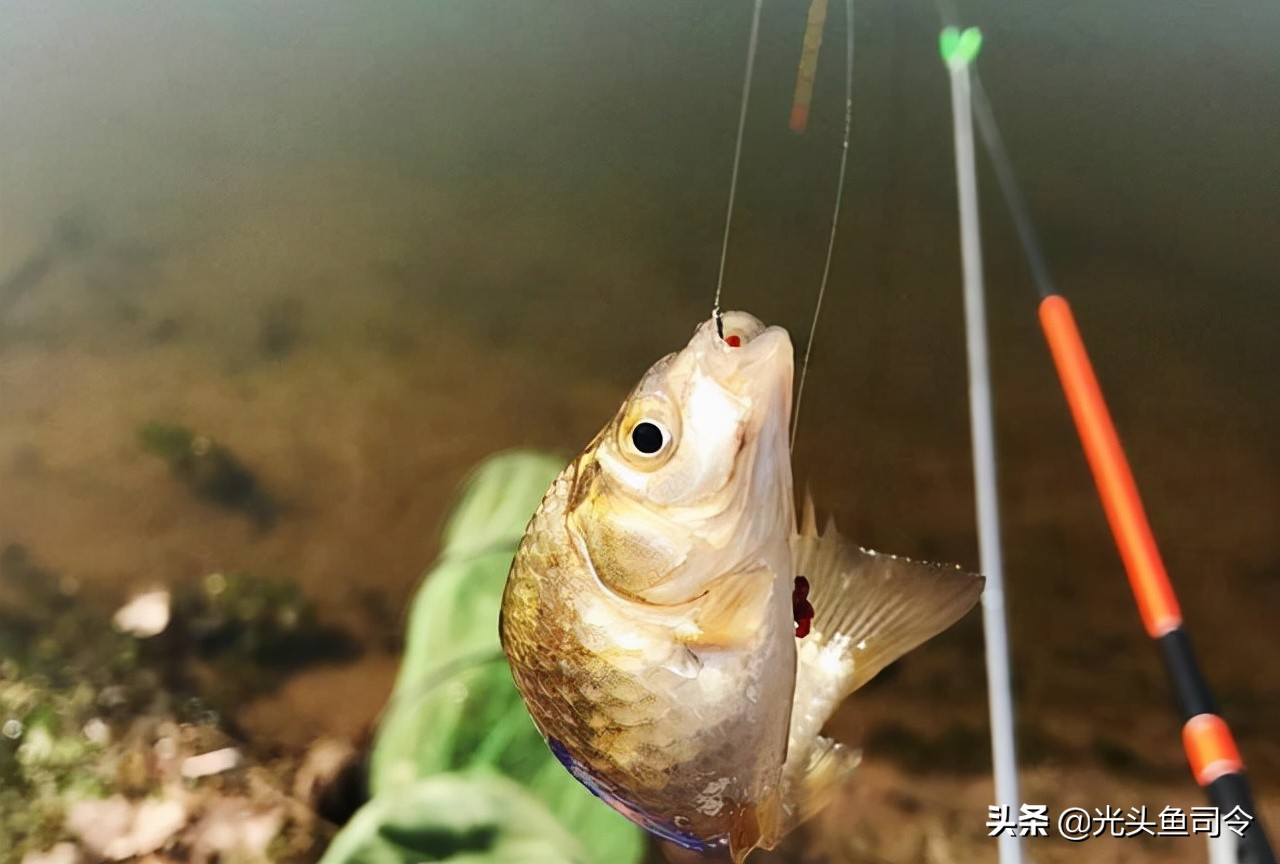 渔具店关门事件,小区门口开渔具店好吗