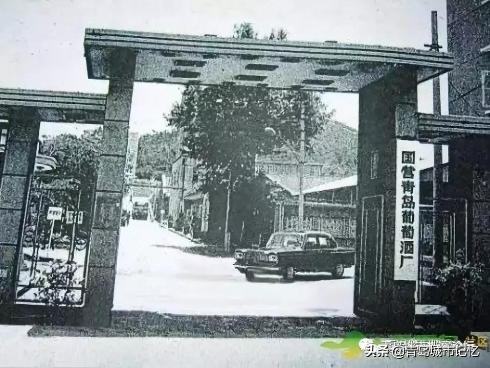 四十年前的青岛葡萄酒,青岛知名葡萄酒