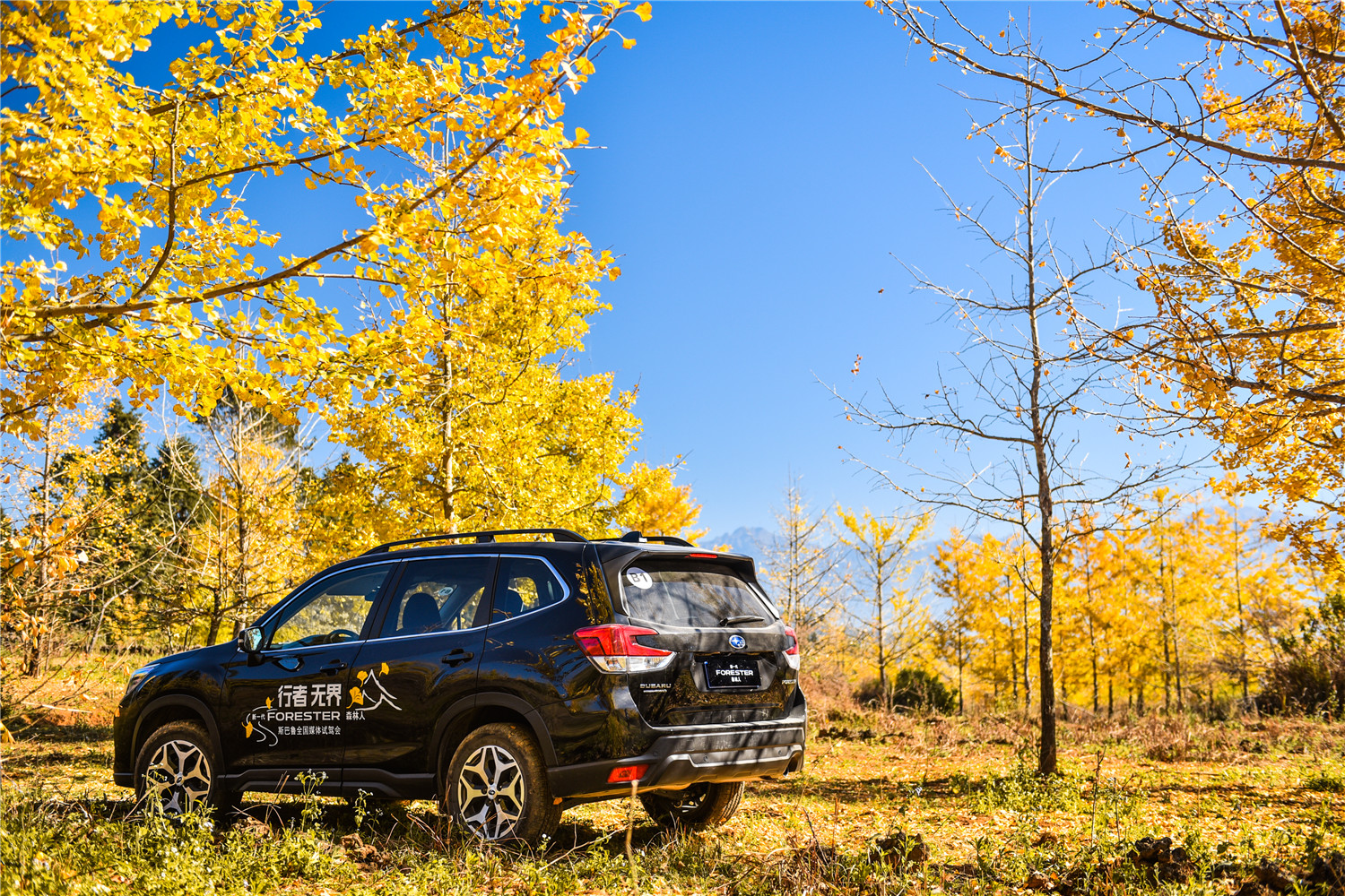 2.0自吸cvt的车能买吗,2.0cvt森林人